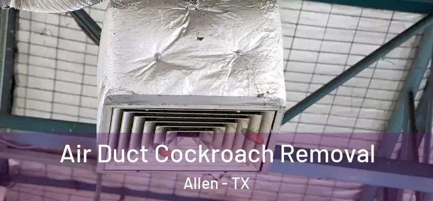 Air Duct Cockroach Removal Allen - TX