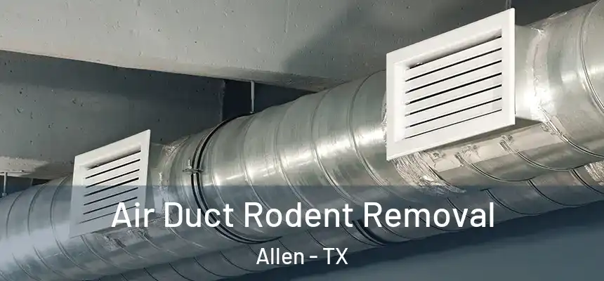  Air Duct Rodent Removal Allen - TX