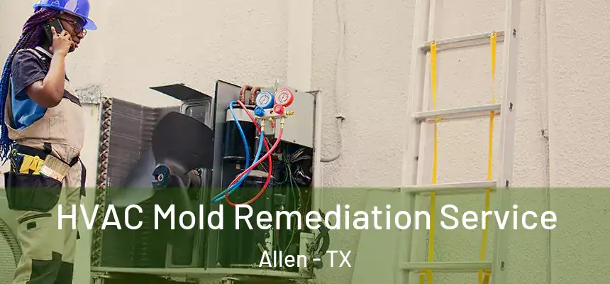  HVAC Mold Remediation Service Allen - TX