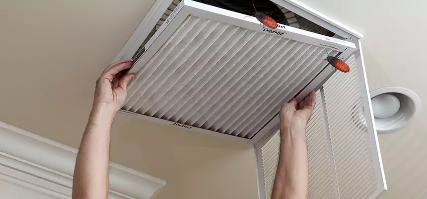 Preventive Cockroach-Proofing for Ducts in Allen
