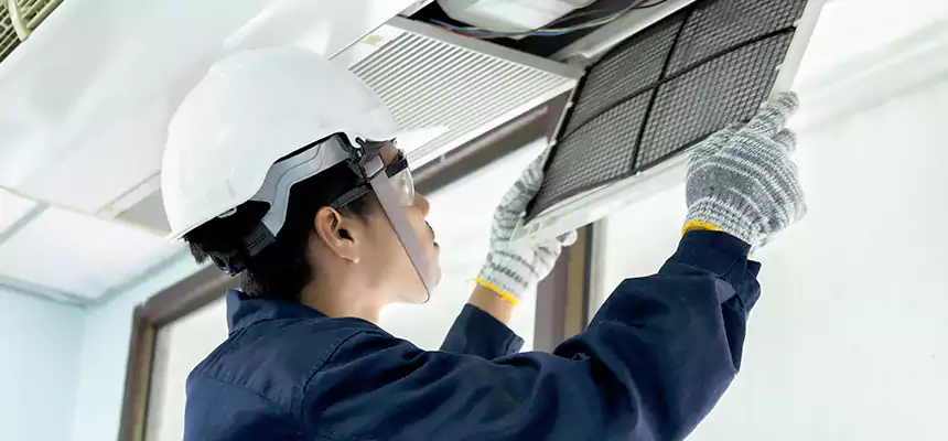 Our Mold & Mildew Removal from Air Ducts Services in Allen, TX