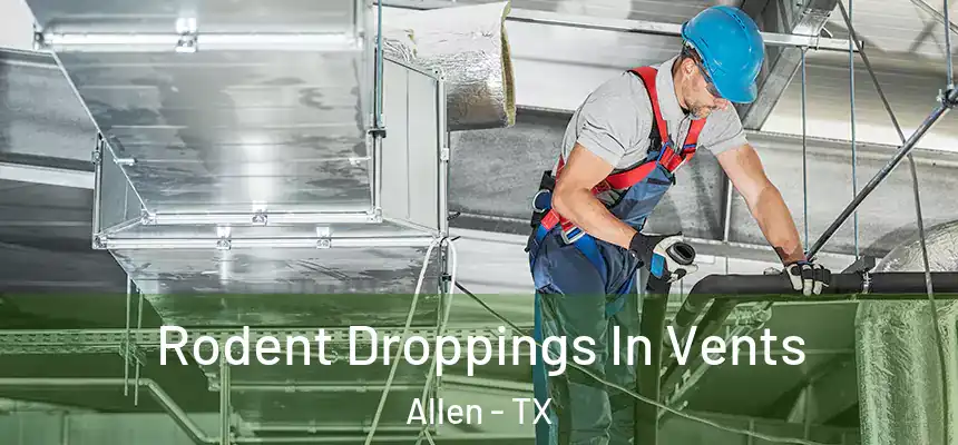  Rodent Droppings In Vents Allen - TX