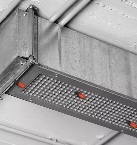 About Air Duct Cockroach Removal in Allen, TX