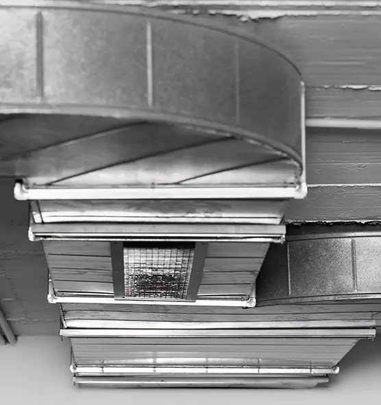 Professional Air Duct Pet Hair Removal in Allen, TX