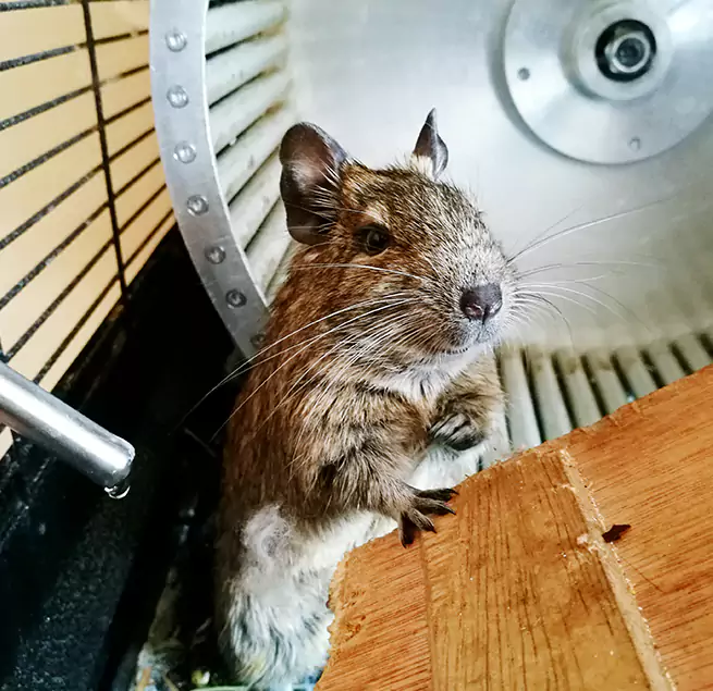 Why Homeowners & Businesses Trust Us Allen, TX