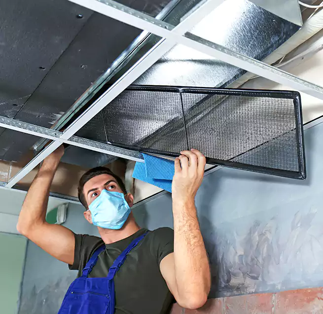 Why Homeowners Businesses Trust Us in Allen, TX