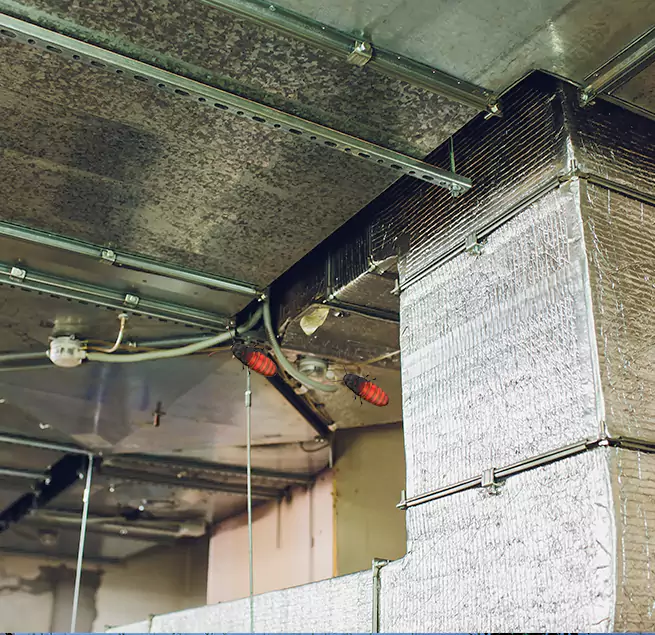 Why Homeowners & Businesses Trust Us Allen, TX?