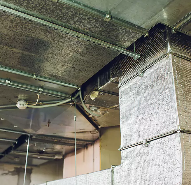 Why Homeowners & Businesses Trust Us in Allen, TX?